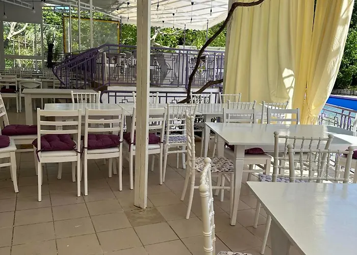 рива Отель 3*